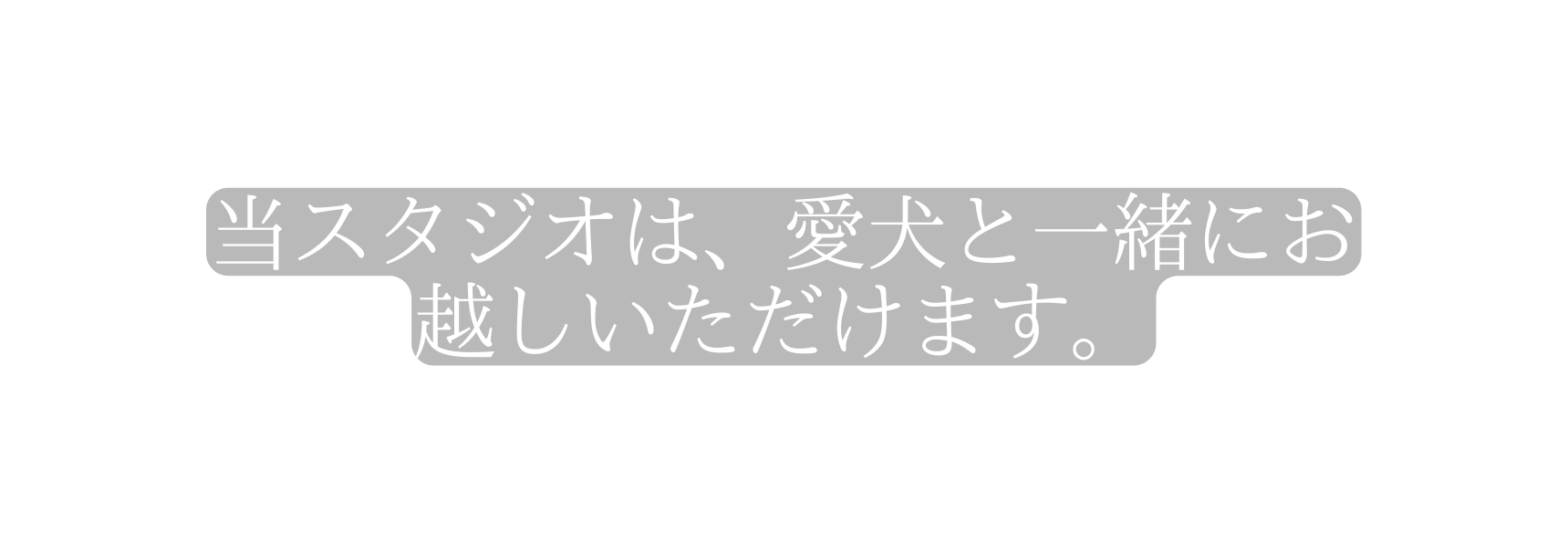 当スタジオは 愛犬と一緒にお越しいただけます